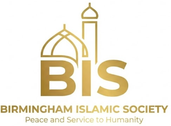 BIS Logo