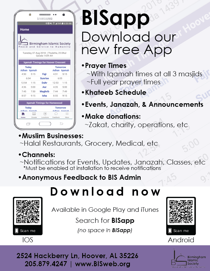 BISApp Features Flyer